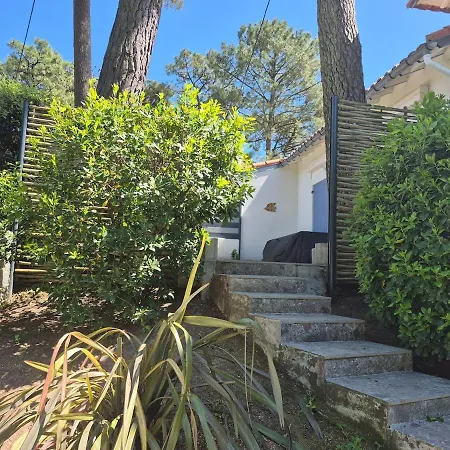 Ti Goe - Petit Cocon A 400 M -